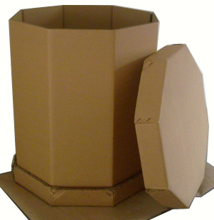 八角箱粒子包装箱(图1)